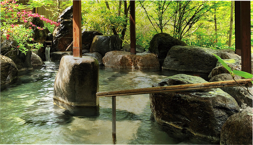 熊本県阿蘇郡 ひぜんや別館 「大自然」温泉のページです。